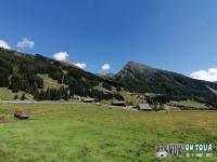 IMG_20200727_145824