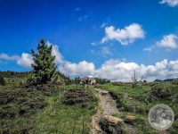 12IMG_20250606_103950-Kopie