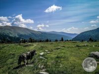 15IMG_20250606_104232-Kopie