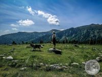17IMG_20250606_104254-Kopie