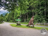 1IMG_20250606_144254-Kopie