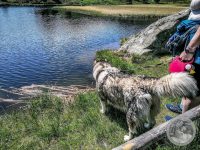 22IMG_20250606_113225-Kopie