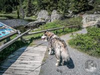 23IMG_20250606_113321-Kopie