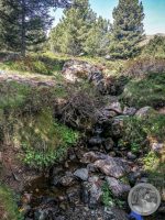 24IMG_20250606_105106-Kopie