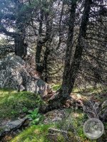 25IMG_20250606_105118-Kopie