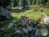 28IMG_20250606_105318-Kopie