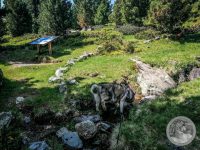 29IMG_20250606_105320-Kopie