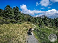 2IMG_20250606_103631-Kopie