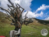 2IMG_20250606_123359-Kopie