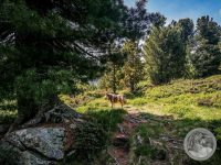 30IMG_20250606_105405-Kopie