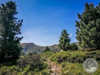 32IMG_20250606_105501-Kopie