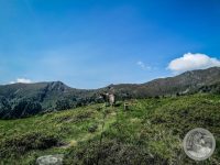 34IMG_20250606_105648-Kopie
