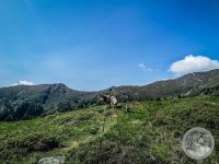 35IMG_20250606_105648_1-Kopie