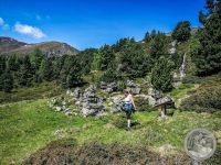 38IMG_20250606_110250-Kopie