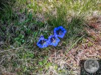 3IMG_20250606_103824-Kopie
