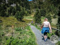 3IMG_20250606_112435-Kopie