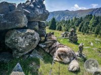 44IMG_20250606_110747-Kopie