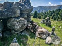 47IMG_20250606_110754-Kopie