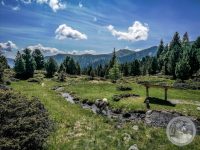 49IMG_20250606_110927-Kopie