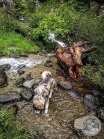 4IMG_20250606_151455-Kopie