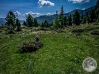 50IMG_20250606_110946-Kopie