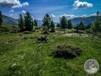 51IMG_20250606_110948_1-Kopie