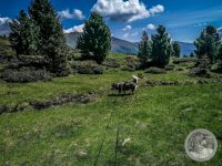 53IMG_20250606_110950-Kopie