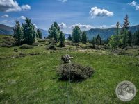 54IMG_20250606_110948-Kopie