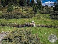 55IMG_20250606_111001-Kopie