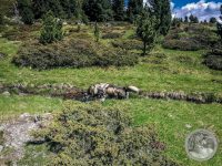 56IMG_20250606_111002-Kopie