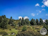57IMG_20250606_110959-Kopie