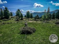58IMG_20250606_110947-Kopie