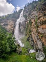 5IMG_20250606_151458-Kopie