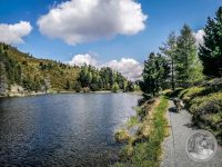 6IMG_20250606_112619_1-Kopie
