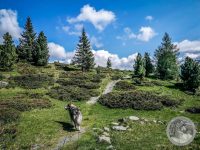 8IMG_20250606_103859-Kopie