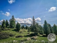 9IMG_20250606_103903-Kopie