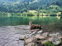 10IMG_20250607_103127-Kopie