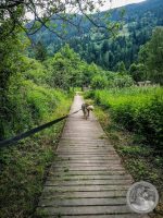 16IMG_20250607_105658-Kopie