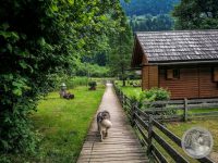 17IMG_20250607_105756-Kopie