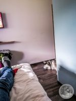 1IMG_20250607_174958-Kopie