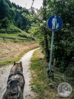 20IMG_20250607_110941-Kopie