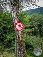 21IMG_20250607_113336-Kopie