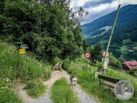 3IMG_20250607_101537-Kopie