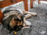 3IMG_20250607_132914-Kopie