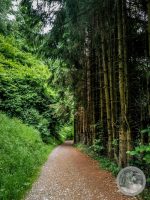 5IMG_20250607_101941-Kopie