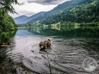 8IMG_20250607_103057-Kopie
