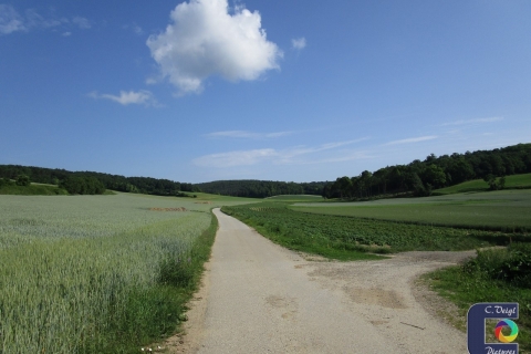 Füllersdorfer Waldwegrunde (02.06.2018)