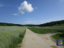 Füllersdorfer Waldwegrunde (02.06.2018)
