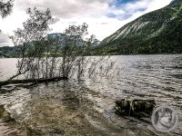 11IMG_20240516_111502-Kopie