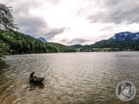 14IMG_20240516_112222-Kopie